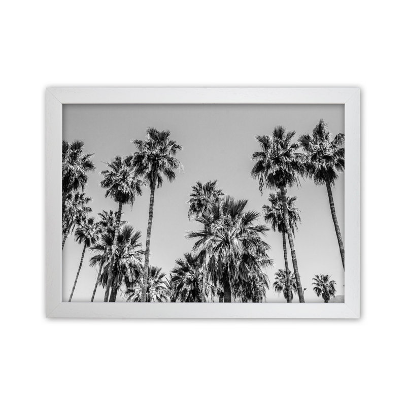 Sabal Palmetto I Palm Trees by Victoria Frost - Print, White Framed, 46cm H x 63cm W x 3cm D