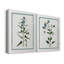 Toile tendue Botanical I-Premium Gallery - prête à être accrochée-1061478729