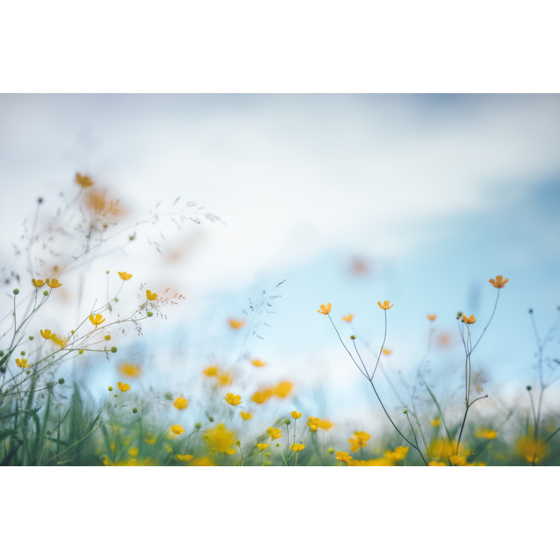 Summer Meadow by Borchee - No Frame Art Prints on Canvas, 51cm H x 76cm W