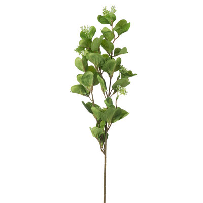 Jet d'eucalyptus 26,5 po - Vert