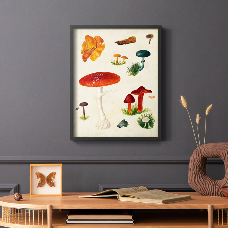 Reproduction encadrée champignon Mushroom Species, H 20 po x l 16 po, Noir