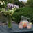 Arbnora Rectangular Outdoor Coffee Table , 48'' in. W 24'' in. D-540347880
