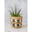 KitchenCraft Water Hyacinth Planter, Striped Design