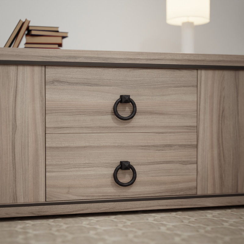 Poignée d'anneau de porte d'armoire en fer forgé