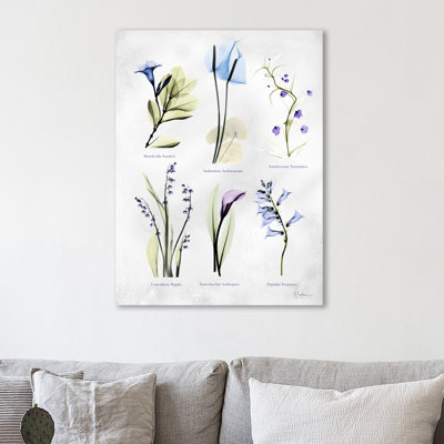 Vast Botanicals - Wrapped Canvas Print