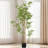 70.75 " H Faux Bamboo Tree in Cement Pot