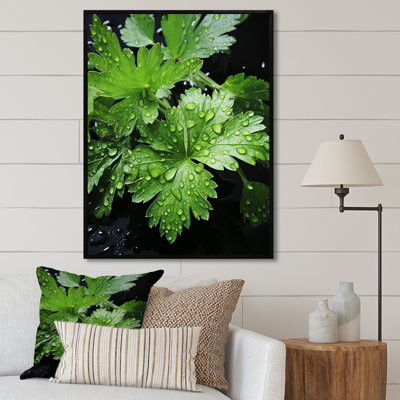 Herbs Cilantro Splash 2 - Floral Herbs Wall Art