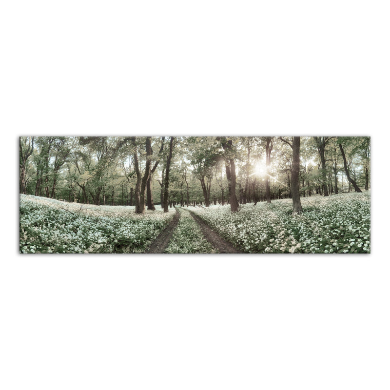 Forest Horizon Path Canvas Print