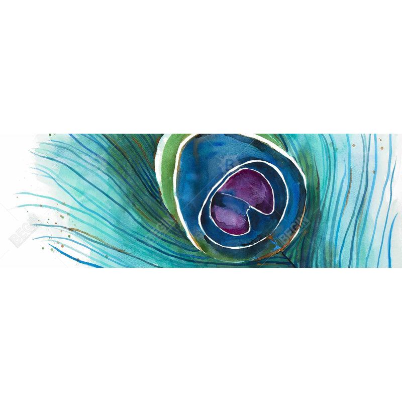 " Peacock Feather Closeup "