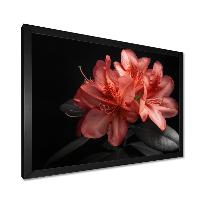 Rose noir et rhododendron Midnight Bloom II - art mural rhododendron, Toile tendue, H 12 po x l 20 po