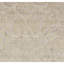 Floral Area Rug in Cream/Ivory/Silver-411782308