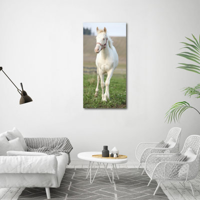 Albino Horse - Wrapped Canvas Print
