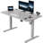 Hieronymus Electric Adjustable T-Shape Standing Desk Home Desk With Backpack Hook And Memory Smart Pannel-1629446156-1629446158
