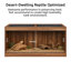 Réservoir de reptile 50 gallons-122721312-120641097
