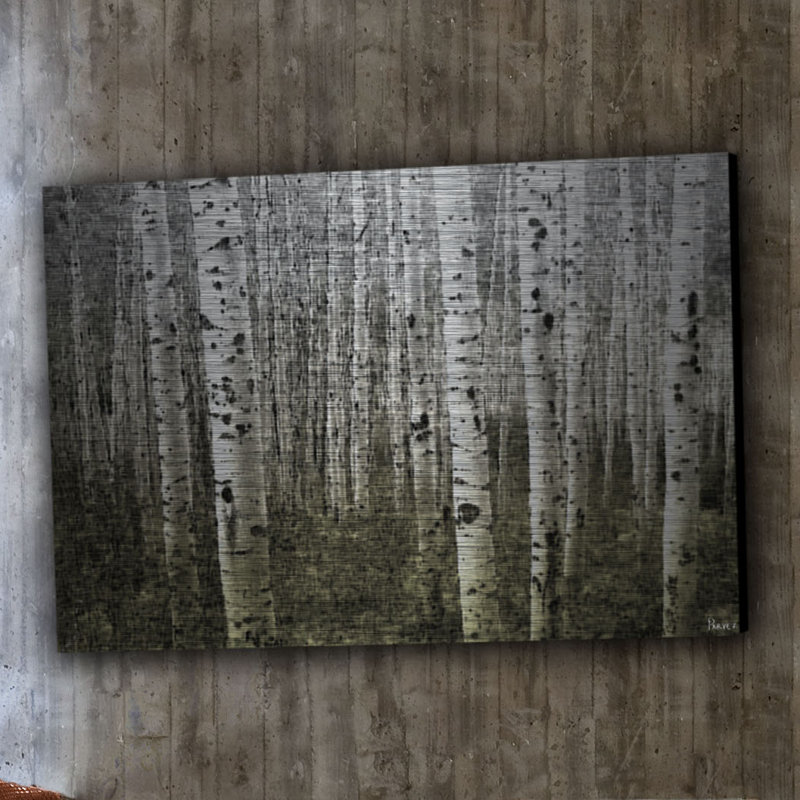 Reproduction de photo sur métal « aspen highland » par paris taj, H 24 po x l 36 po x P 1,5 po