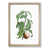 Oak Framed selected