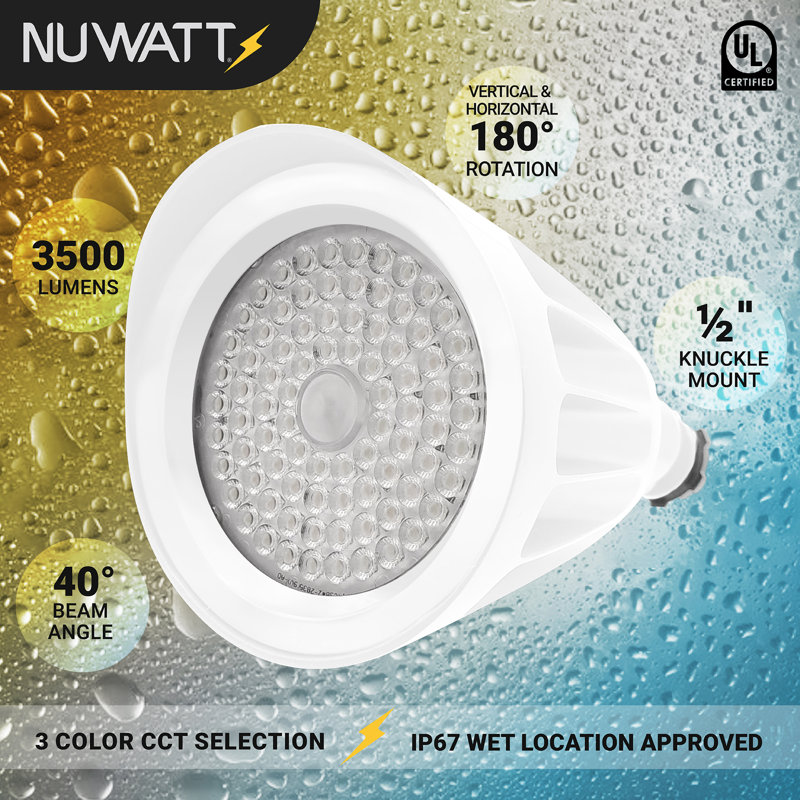 Luminaire de paysage extérieur à DEL 120-277 V blanc, 25 W, 3CCT 1/2 po, Satin