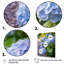 Fleurs bleues d'hortensia - art mural floral-165552833-171902492