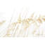 «Blowing in the Wind I» par Elizabeth Urquhart - photographie-596415380-569930043-569930440