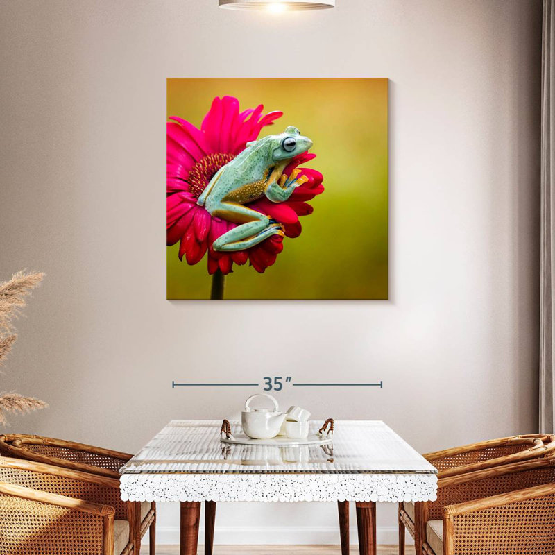 Crowle Tree Frog On Flower