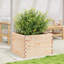 2 Wood Planter-100491942-100491948