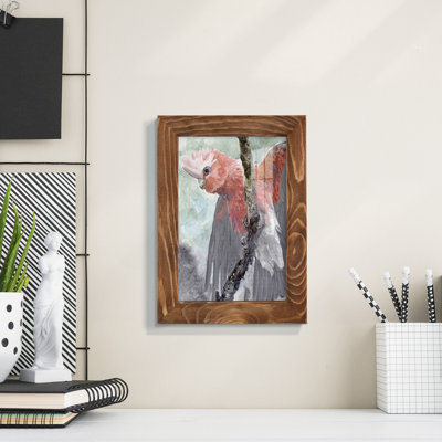 Tropic Parrot II encadré sur papier