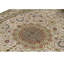 Oriental Area Rug in Ivory