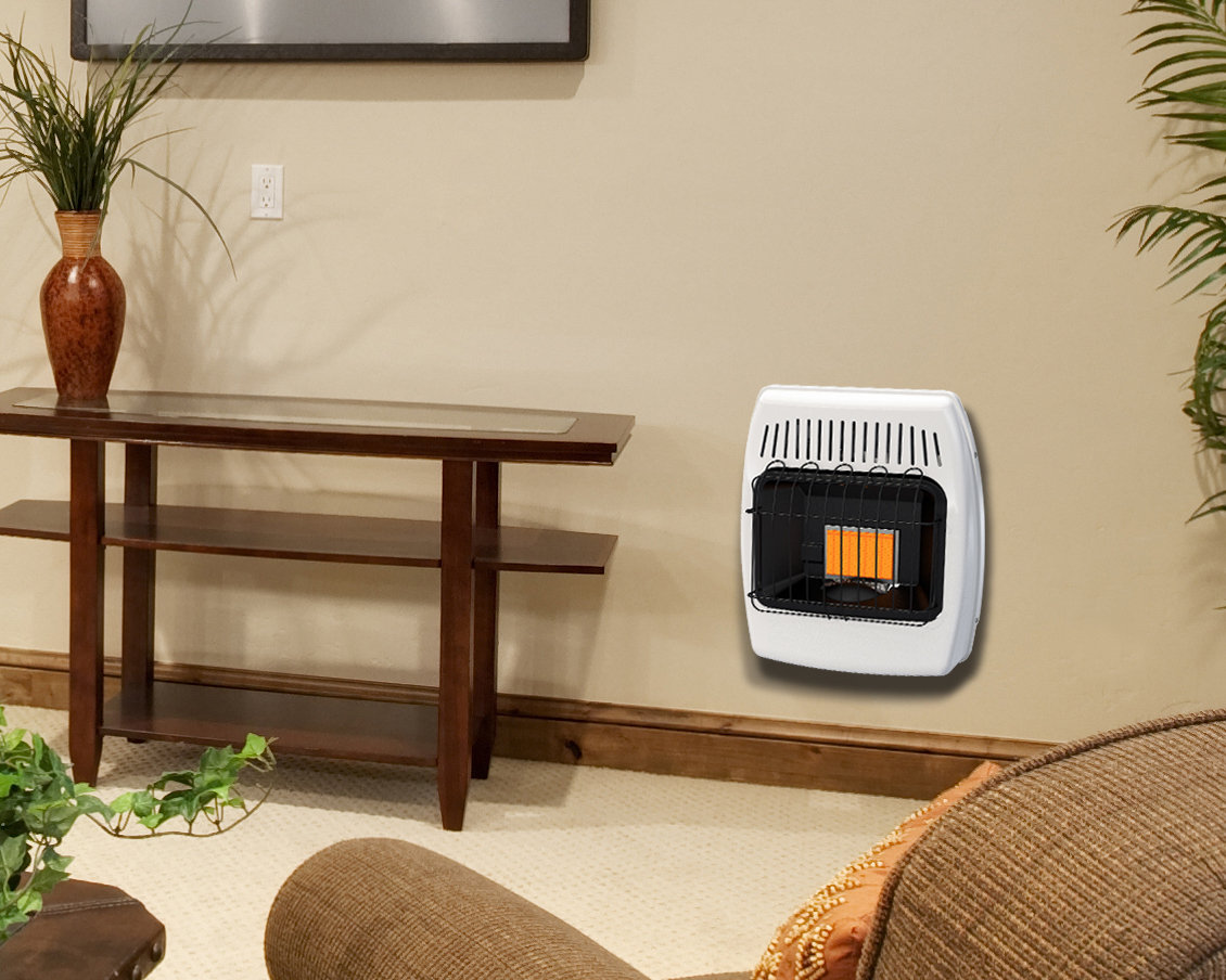 Dyna-Glo 6000 BTU BTU Natural Gas Wall Mounted Space Heater with Adjustable  Thermostat u0026 Reviews | Wayfair