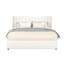 Arbour Queen Upholstered Platform Bed With 2 Drawers-358109069