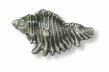 (5 Pack) 2 inch Shell Knob Brushed Satin Pewter