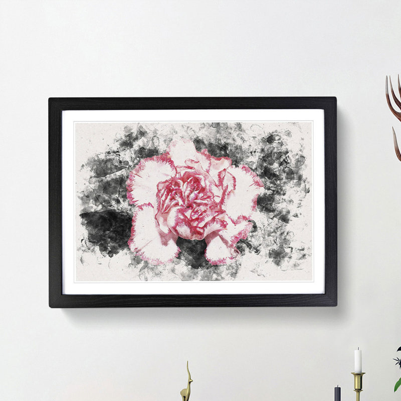 Pink Carnation Flower - Framed Print, 33cm H x 45cm W x 2cm D, Black Framed