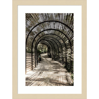 Nihan "Shadow Garden" Print