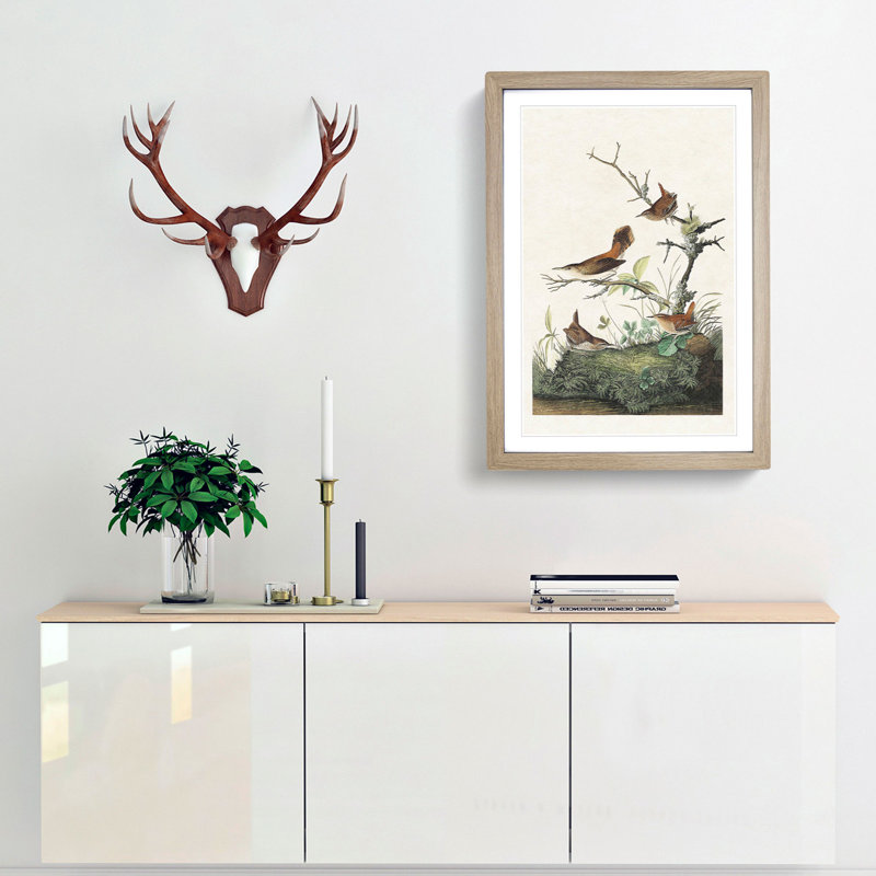 Wrens by John James Audubon - Picture Frame Painting Print, 65cm H x 48cm W x 2cm D, Oak Framed