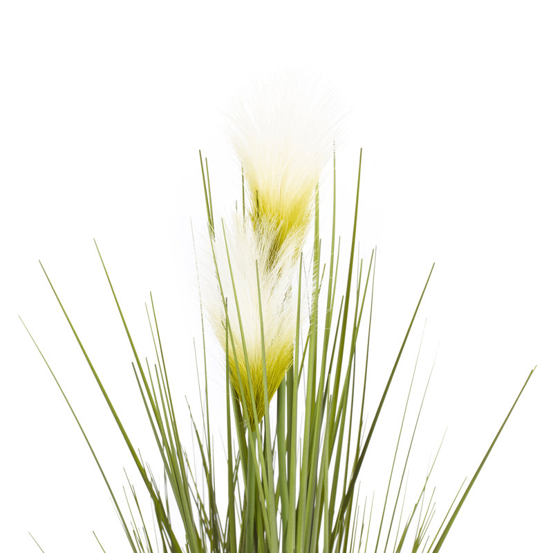 Plant in Pot, 104cm
