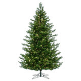 Eagle Fraser Lighted Artificial Fir Christmas Tree