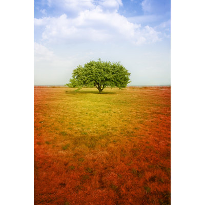 Tranquility by Nico_blue - Wrapped Canvas Print