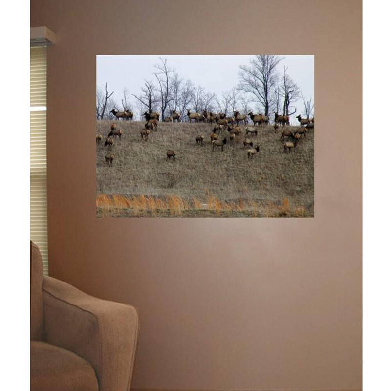 Goudy Animals Non-Wall Damaging Wall Decal, 45" H x 60" W