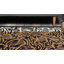 Tapis brun Testerman-19386212