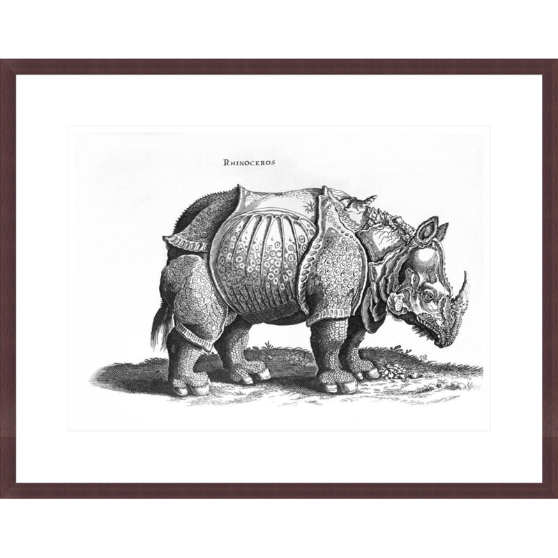«Rhinoceros no 76» par «historique animal» par Conrad Gesner (1516-65) par Albrecht Dürer, impression giclée encadrée