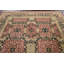 Tapis oriental à teinture végétale Agra noué à la main 9 pi 2 po x 11 pi 11 po