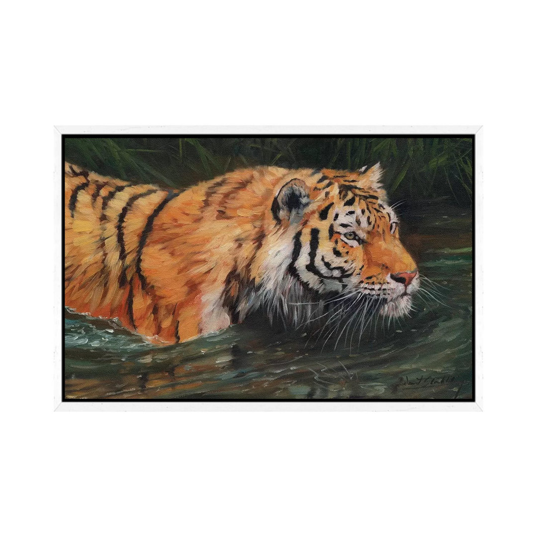 Amur Tiger River von David Stribbling - Galerie-umwickelte Leinwand Giclée auf Leinwand