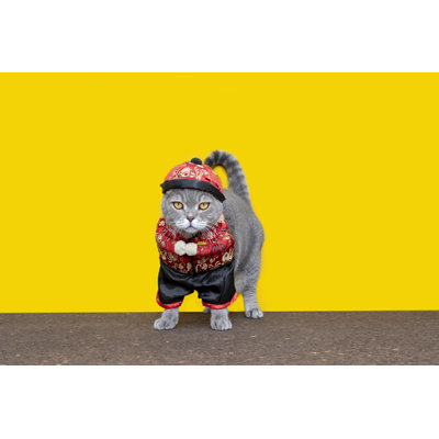 Chinese Outfit On Cat - Wrapped Canvas Print