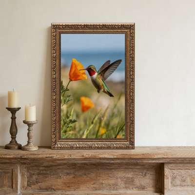 Colibri - coquelicot ornemental rétro - cadre doré décoratif pour art