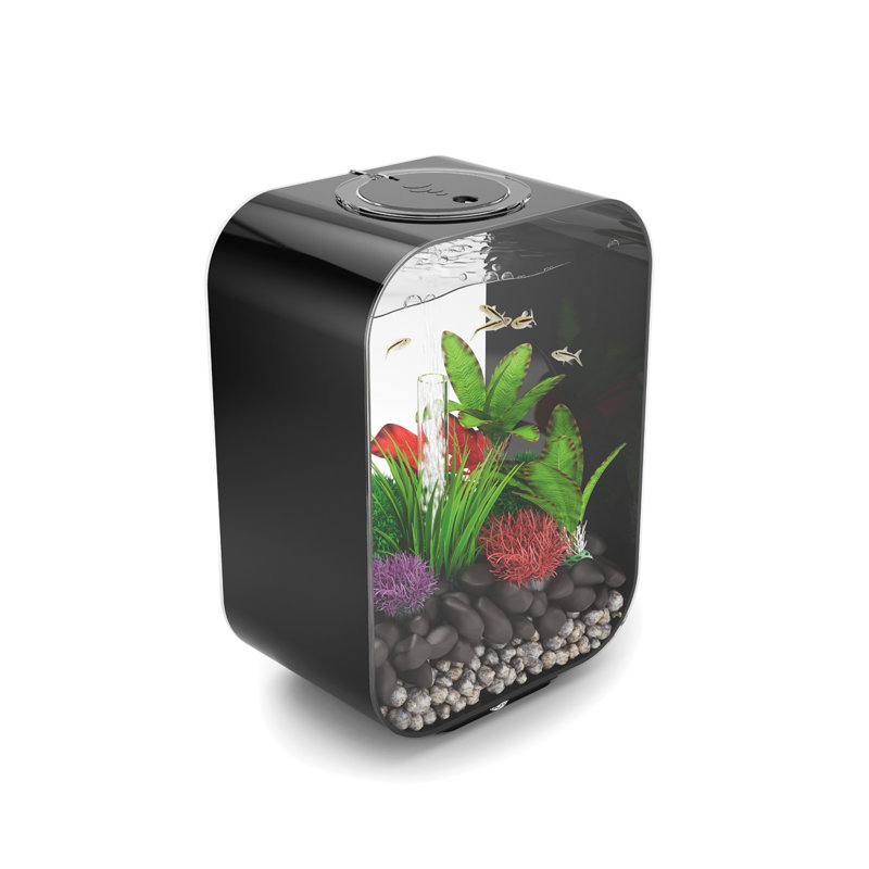 Compact Black Acrylic Desktop Aquarium with LED Lights