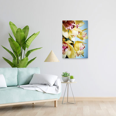 Contemporary Art Elegant Abstract Orchid Nature Tropical Wall Art by Angelo Cerantola - Wrapped Canvas Print
