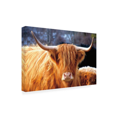 Nathan Larson Highland Cow, art sur toile
