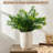 Kitchen Countertop Utensil Rack