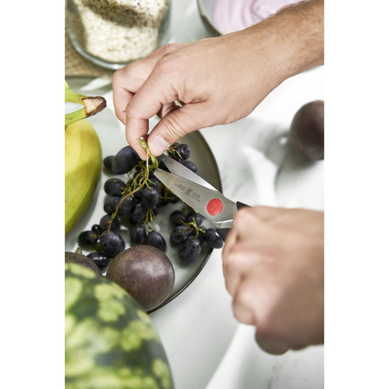 Ensemble de couteaux 9 pièces ZWILLING