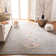 Felty Oriental Light Gray Area Rug