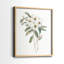 Impression encadrée Mountain Laurel I-Premium - prête à être accrochée - aucun clou requis - aucun clou requis-143280255